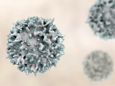 3D rendered images of three T cell